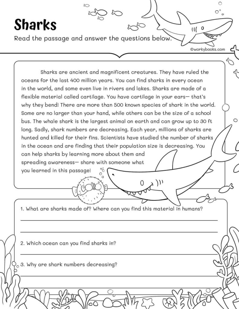 3rd Grade Fluency Passages