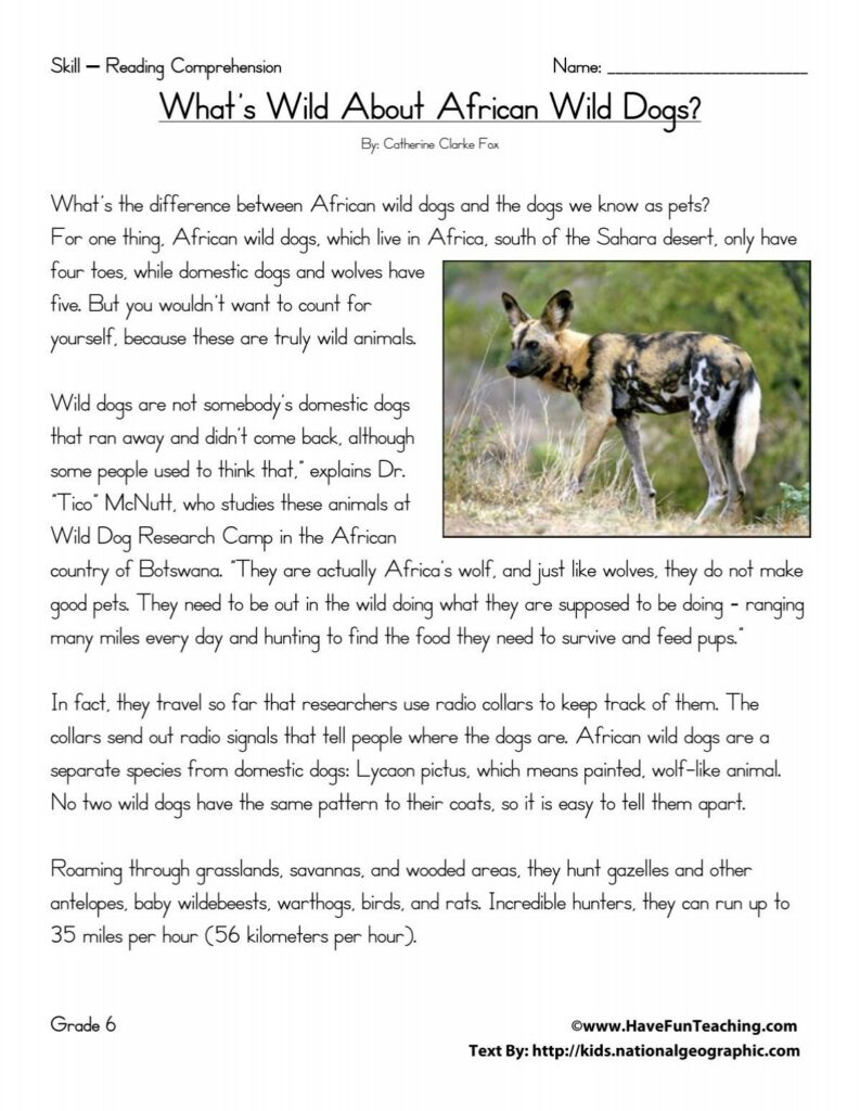 6th Grade Reading Comprehension Test Have Fun Teaching