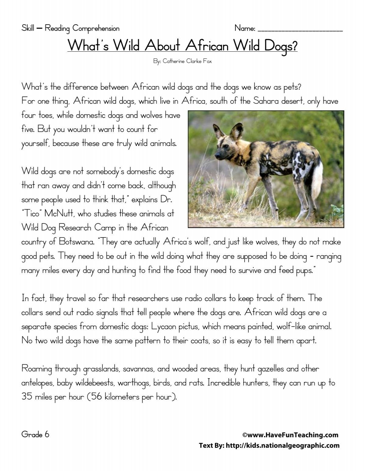 6th Grade Reading Comprehension Test Have Fun Teaching