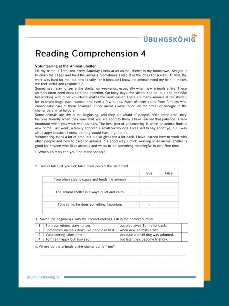 Reading Comprehension