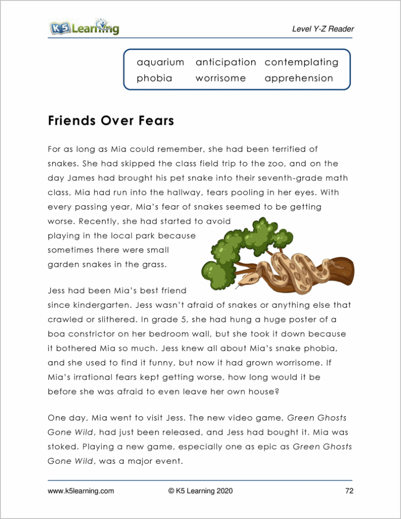 Reading Comprehension Level Y Reading Comprehension Level Y