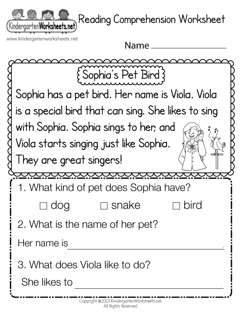 Reading Comprehension Worksheet Printable