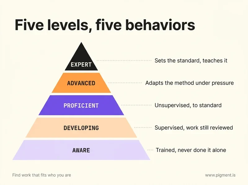 Skills Competency Assessment Template Skills Competency Assessment Template