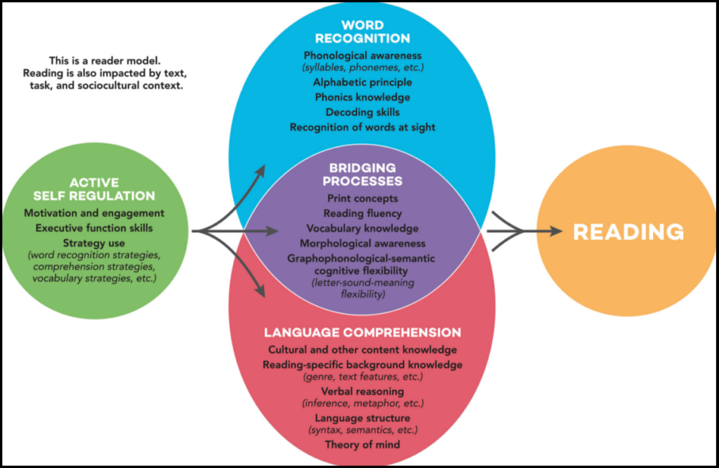 The Science Of Reading And High Quality Ela Materials The Science Of Reading And High Quality Ela Materials